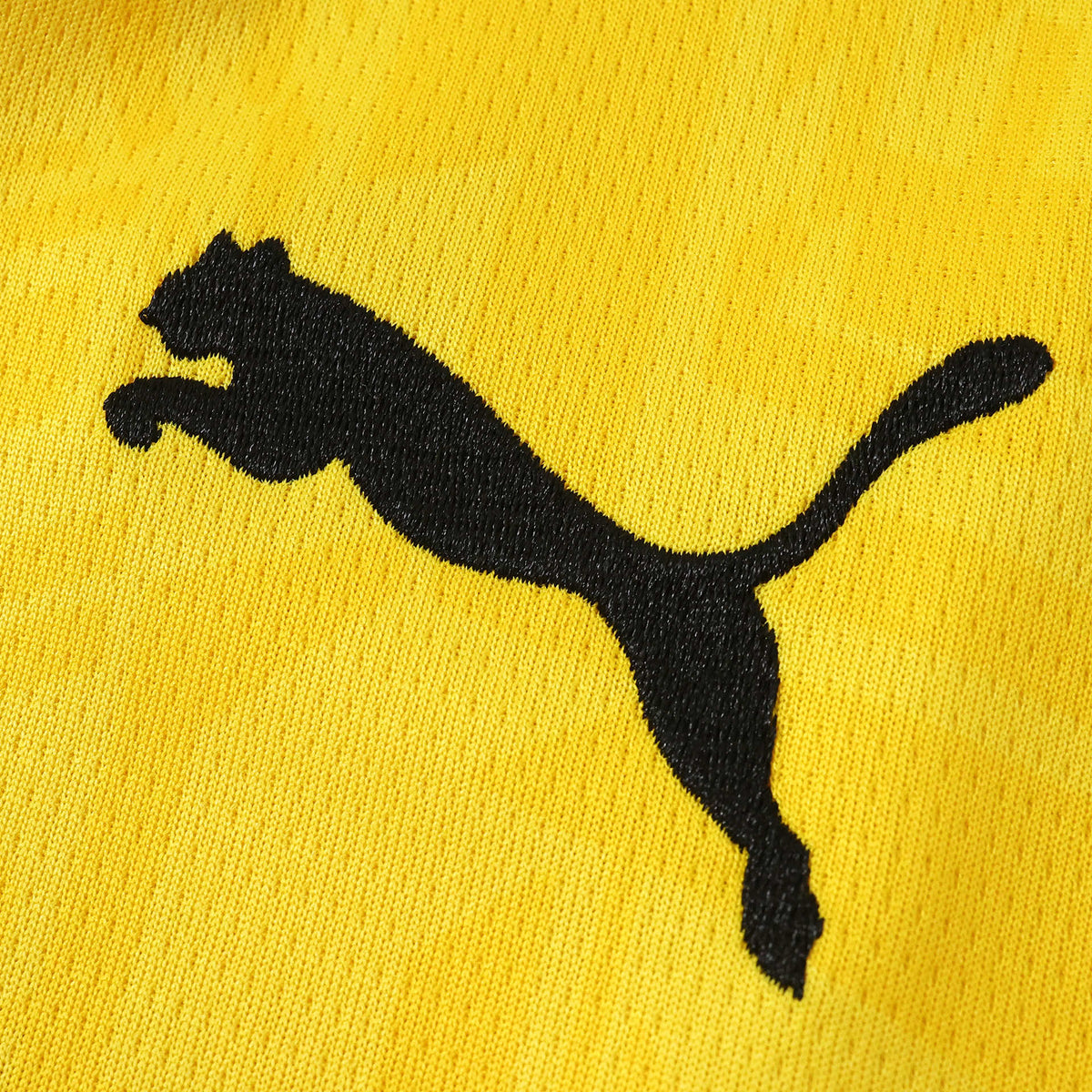 Camiseta Local Borussia Dortmund 2026/27 - Versión Hincha