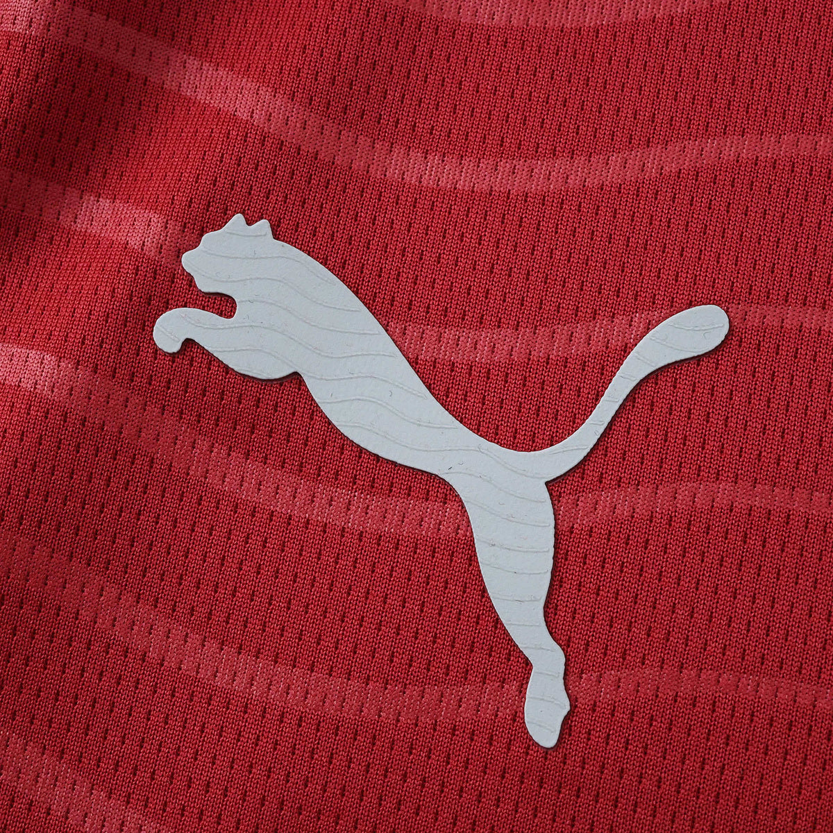 Camiseta Local Portugal Mundial 2026 - Versión Hincha