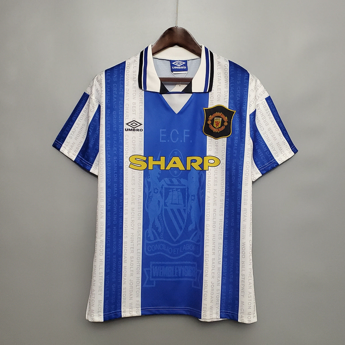 Camiseta Manchester United Ii 94/96 Hombre (Retro) - Versión Hincha